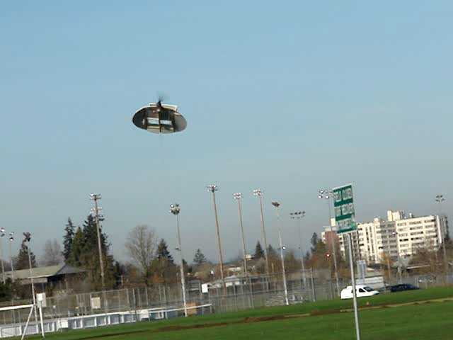SpaceBug1