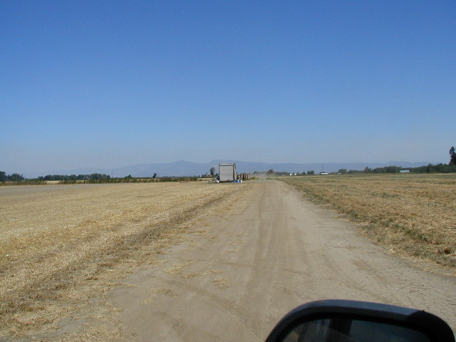 Looking East