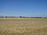 Looking North