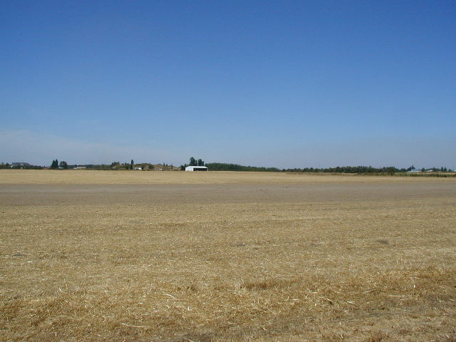 Looking North