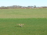 Pelican Taxing