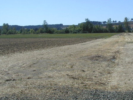 StrawPile_09-04-08